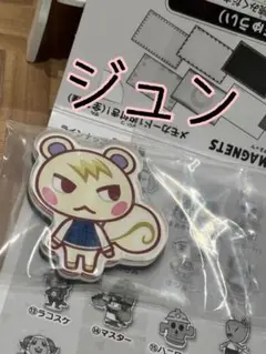 ★キャラマグネッツ★どうぶつの森【ジュン】新品匿名配送
