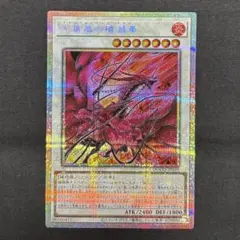 遊戯王　黒薔薇の破滅竜　プリシク