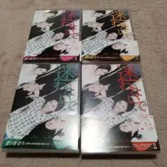 迷わないで DVD-BOX1～4セット〈計24枚組〉