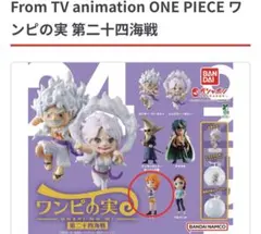 ワンピの実 第二十四海戦 ナミ