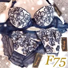 24時間以内発送❣️F75❤︎フラワー刺繍♥️2ショーツ付き3点セット✨エメフィール系