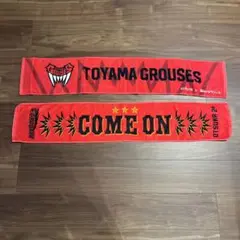 TOYAMA GROUSES タオル 2本セット　富山グラウジーズ
