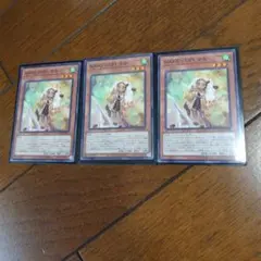 遊戯王　WAKE CUP！ マキ　3枚