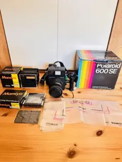 2025年最新】Polaroid 600SEの人気アイテム - メルカリ