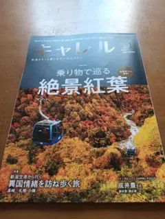 （最新号）雑誌 キャレル 2025年11月号