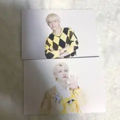 パンダドラゴン ようた ポストカード2枚セット