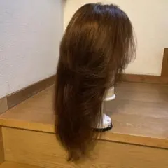 Item thumbnail for item 3f9d19df-2f24-4acf-8c6e-b2c9bbce2489