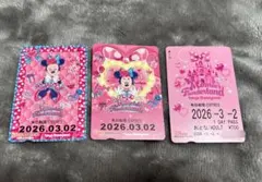 ミニーの日 リゾラ フリー切符セット 大人用