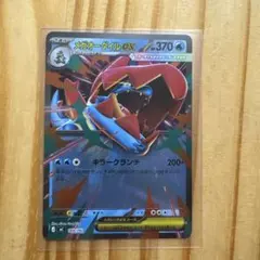 メガオーダイルex ミラー　169のサムネイル