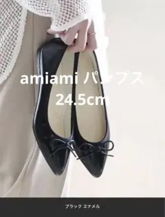 まいにちバレエ ポインテッドトゥバレエシューズ amiami 24.5cmのサムネイル