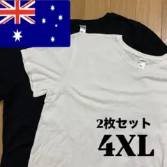 4XL Tシャツ 2枚セット ホワイト ブラック