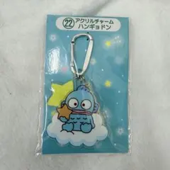 サンリオキャラクター大賞　当りくじ　アクリルチャーム　ハンギョドン