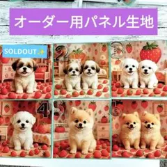 かわいい♡トイプードルちゃんポメちゃんチワワちゃんオーダー受付ページ かわいい♡トイプードルちゃんポメちゃんチワワちゃんetc. オーダー