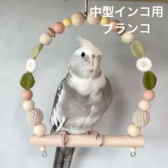 【インコ用 ぐるぐるロープ（ロープパーチ）オーダーページ】 インコ用 ぐるぐるロープ（ロープパーチ）オーダーページ】 - メルカリ