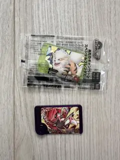 ポケモン　フレンダ　グラードン　セット