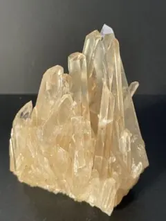 2025年最新】ゴールデンヒーラーの人気アイテム - メルカリ