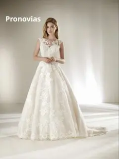 【Pronovias】Dracme ウェディングドレス Aライン