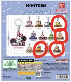 SEVENTEEN MINITEEN ぷっくりめじるしアクセサリー