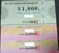 ビックカメラ 株主優待券 8000円分 匿名配送 ビックカメラ株主優待券8000円分※期限2025/11/30