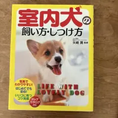 Item thumbnail for item 66560041-7f79-4014-bb15-335a27008af2