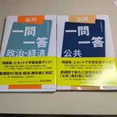 一問一答 政治・経済・公共セット