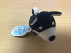 2025年最新】きょうのわんこの人気アイテム - メルカリ