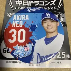 中日ドラゴンズ どらポジ応援 缶バッジくじ 缶バッジ 根尾昂