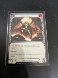 Flesh and Blood Tear Asunder NF