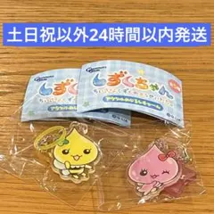 しずくちゃん アクリルめじるしチャーム うるおいちゃん ハニーちゃん