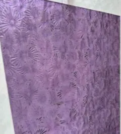 Item thumbnail for item 54bd09da-2784-4051-8e02-9ebe5d897334