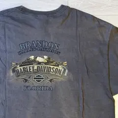 【BEEFY-T】ハーレーダビッドソン イーグル Tシャツ チャコール 2XL