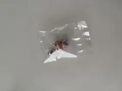 めじるしアクセサリー ぶりぶりざえもん