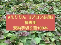 #えりりん §プロフ必須§様専用 安納芋100本