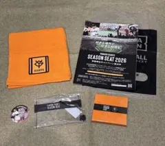 東京讀賣ジャイアンツ 巨人 シーズンシートタオル＆メモ帳＆ポーチ＆山﨑伊織シール