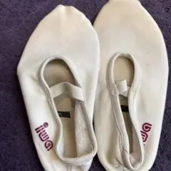 iwa トランポリンシューズ ホワイト 30