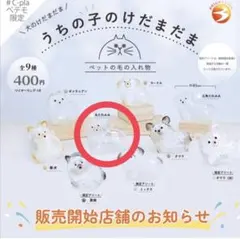 うちの子けだまだま