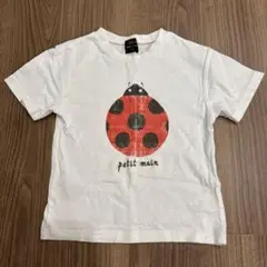 petit main てんとう虫 Tシャツ　110