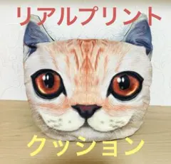 猫型 顔 アニマル クッション★リアルプリント フェイス★枕 ダイカット 猫耳
