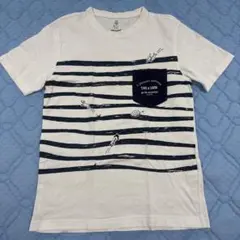 ハッシュパピー(Hush Puppies)　Tシャツ　超美品