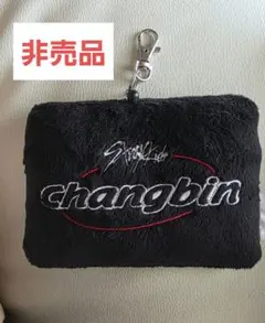 非売品 Stray Kids changbin フォトカードケース パスケース