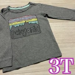 大人気❤️パタゴニア 長袖カットソー 3T