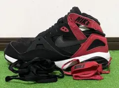 NIKE Air Trainer Max エアトレーナー!マックス!27.5cm