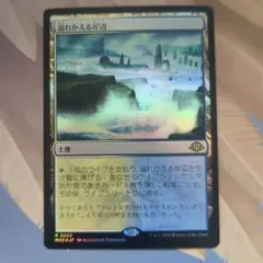 溢れかえる岸辺 4枚セット 中国語 多言語 旧枠 MH3 MTG - メルカリ