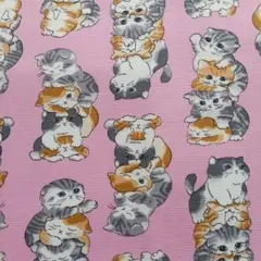 猫さん タワー A