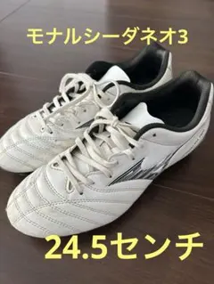 Mizuno ELV1P 日本製 サッカーシューズ 24.5cm Mizuno ELV1P 日本製 サッカーシューズ 24.5cm 2025年最新】ミズノ