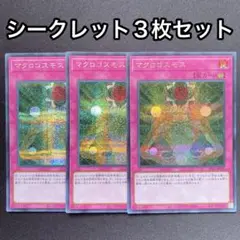 マクロコスモス　シークレット　3枚セット　シク