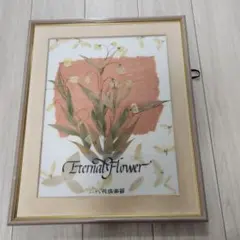 ☆押し花風景画☆ふしぎな花倶楽部☆60額 2025年最新】ふしぎな花倶楽部 額の人気アイテム - メルカリ