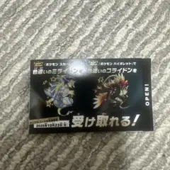 色違い ミライドン