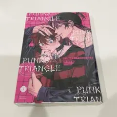 PUNKS△TRIANGLE 沖田有帆 BL 漫画 パンクストライアングル