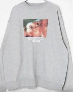 Item thumbnail for item c09c456d-3eee-4fb1-bf80-db067d7bb513